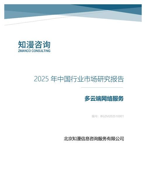 2025年中国多云端网络服务行业市场研究报告