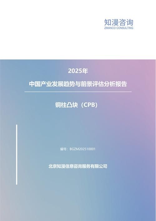 2025年中国铜柱凸块（CPB）产业发展趋势与前景评估分析报告