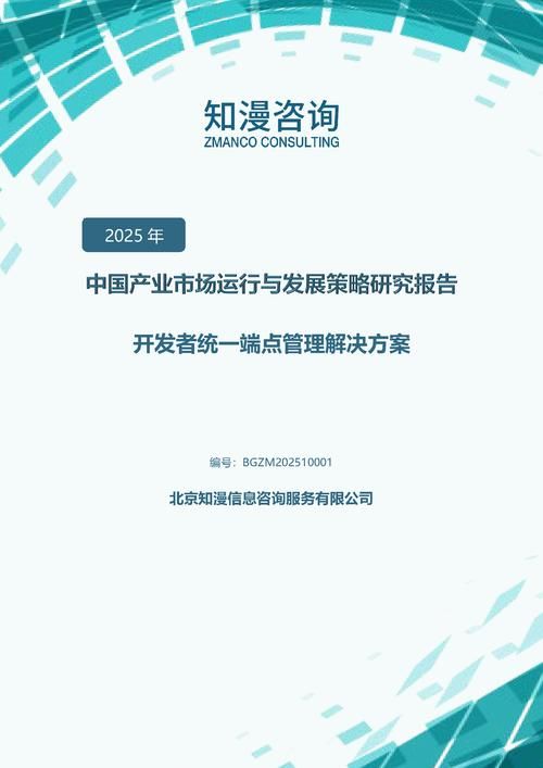 2025年中国开发者统一端点管理解决方案产业市场运行与发展策略研究报告