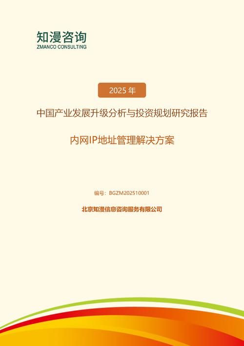 2025年中国内网IP地址管理解决方案产业发展升级分析与投资规划研究报告