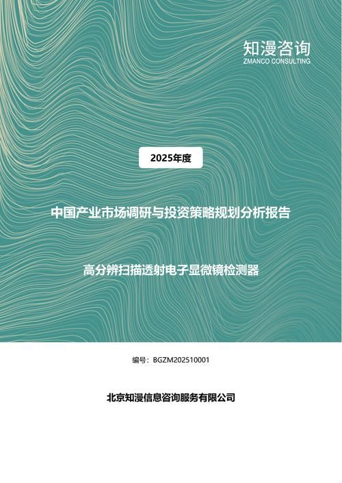 2025年中国高分辨扫描透射电子显微镜检测器产业市场调研与投资策略规划分析报告