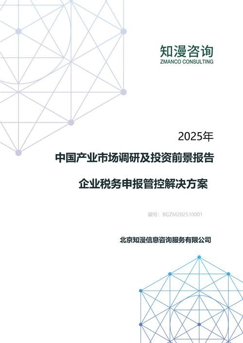 2025年中国企业税务申报管控解决方案产业市场调研及投资前景报告