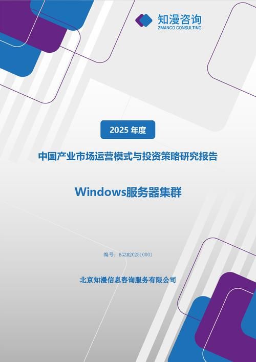2025年中国Windows服务器集群产业市场运营模式与投资策略研究报告