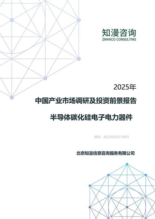 2025年中国半导体碳化硅电子电力器件产业市场调研及投资前景报告