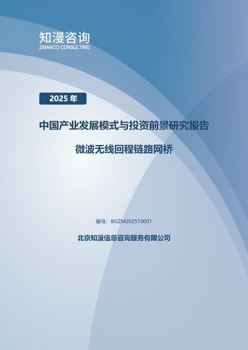 2025年中国微波无线回程链路网桥产业发展模式与投资前景研究报告