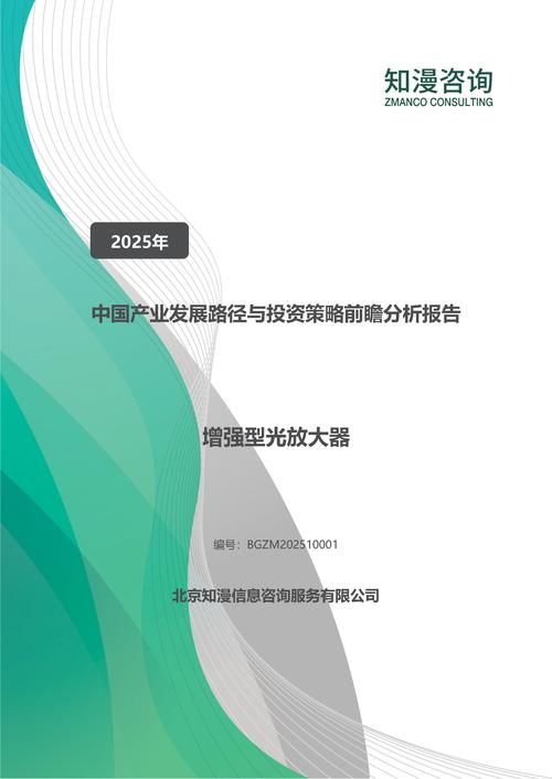 2025年中国增强型光放大器产业发展路径与投资策略前瞻分析报告