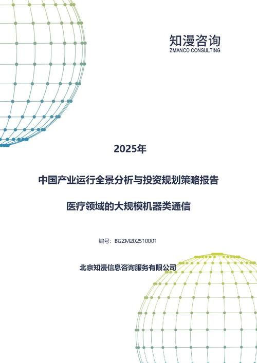 2025年中国医疗领域的大规模机器类通信产业运行全景分析与投资规划策略报告