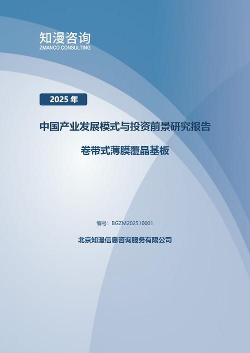 2025年中国卷带式薄膜覆晶基板产业发展模式与投资前景研究报告