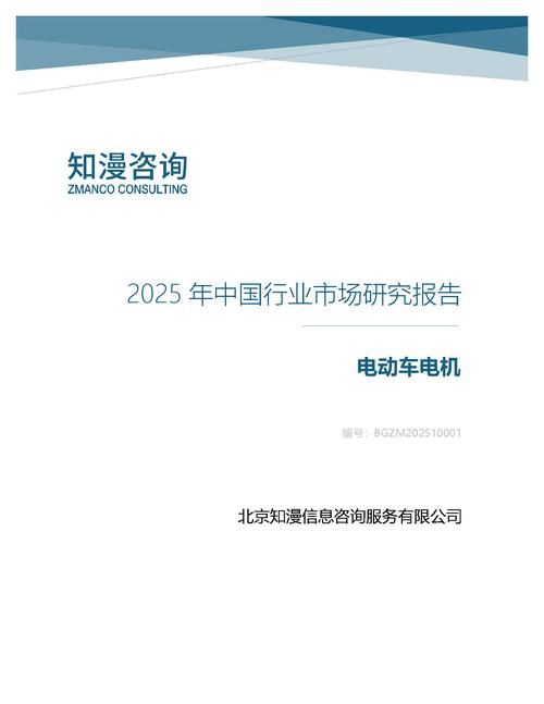 2025年中国电动车电机行业市场研究报告