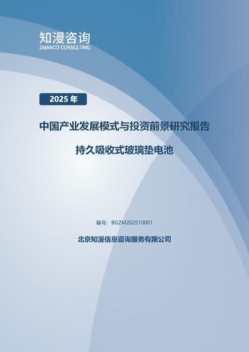 2025年中国持久吸收式玻璃垫电池产业发展模式与投资前景研究报告