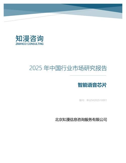 2025年中国智能语音芯片行业市场研究报告