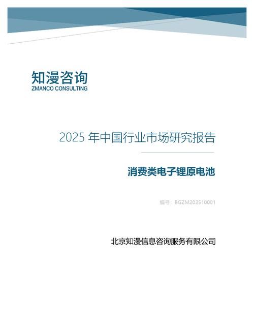 2025年中国消费类电子锂原电池行业市场研究报告