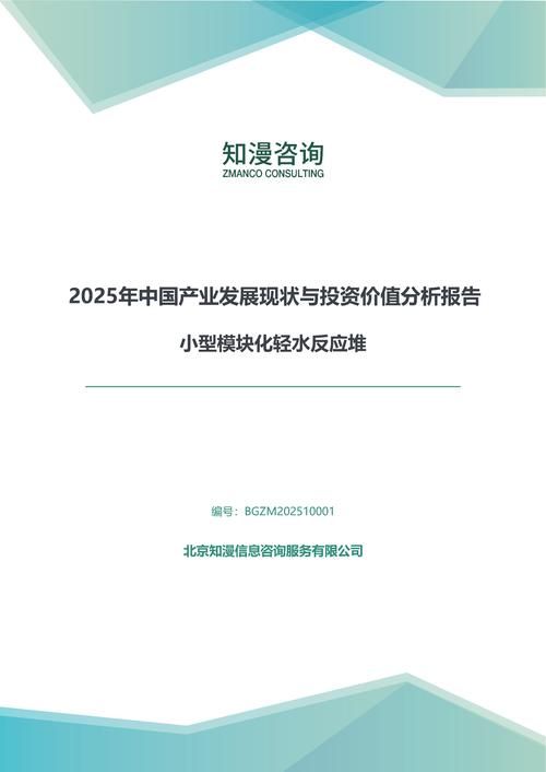 2025年中国小型模块化轻水反应堆产业发展现状与投资价值分析报告