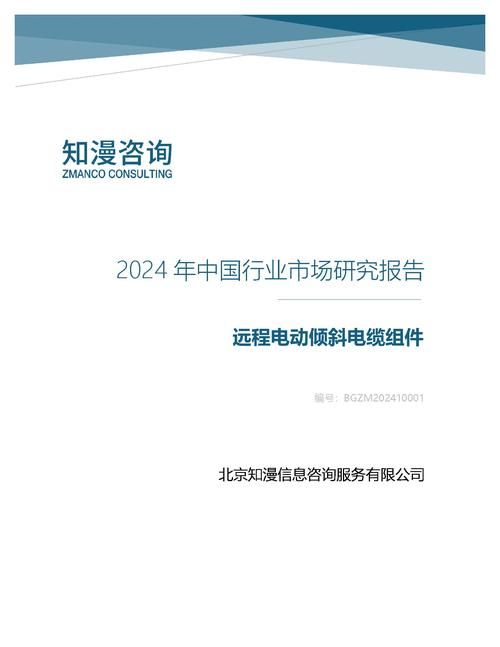 2024年中国远程电动倾斜电缆组件行业市场研究报告