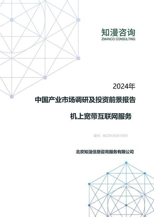 2024年中国机上宽带互联网服务产业市场调研及投资前景报告
