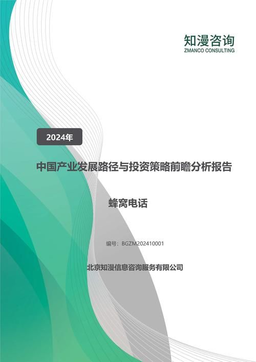 2024年中国蜂窝电话产业发展路径与投资策略前瞻分析报告