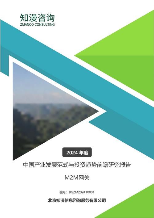 2024年中国M2M网关产业发展范式与投资趋势前瞻研究报告