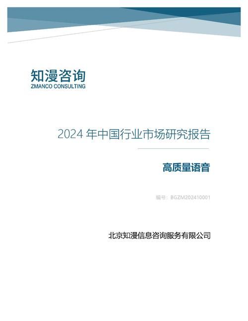 2024年中国高质量语音行业市场研究报告
