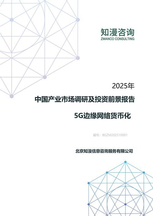 2025年中国5G边缘网络货币化产业市场调研及投资前景报告