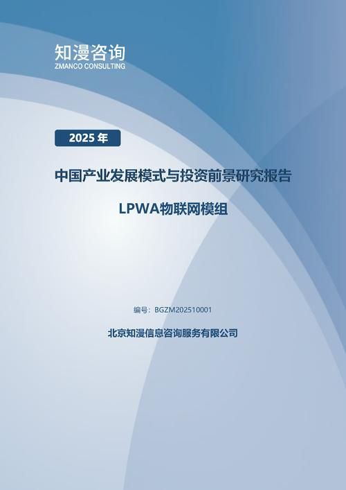 2025年中国LPWA物联网模组产业发展模式与投资前景研究报告