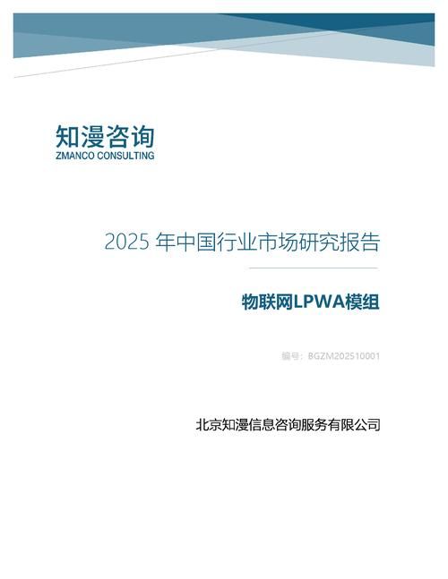 2025年中国物联网LPWA模组行业市场研究报告