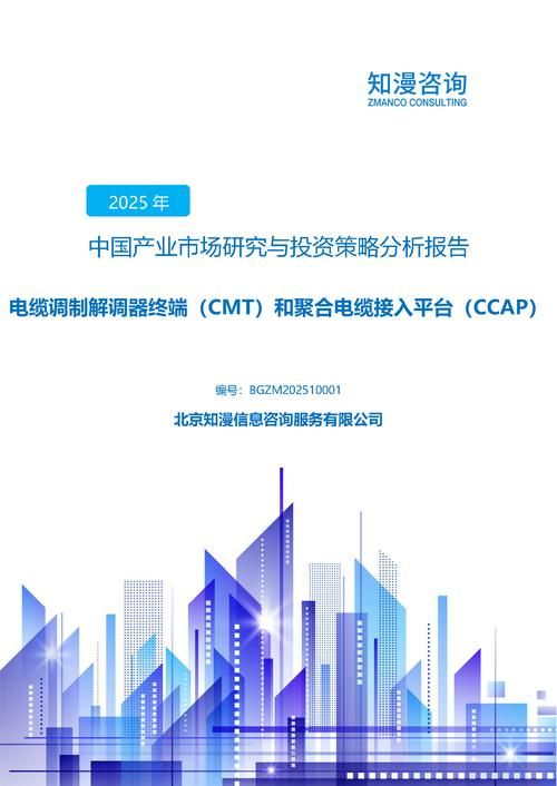 2025年中国电缆调制解调器终端（CMT）和聚合电缆接入平台（CCAP）产业市场研究与投资策略分析报告