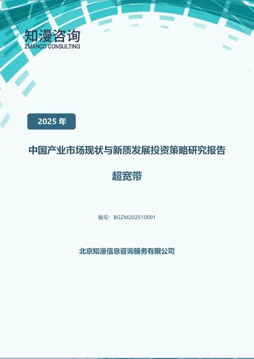 2025年中国超宽带产业市场现状与新质发展投资策略研究报告