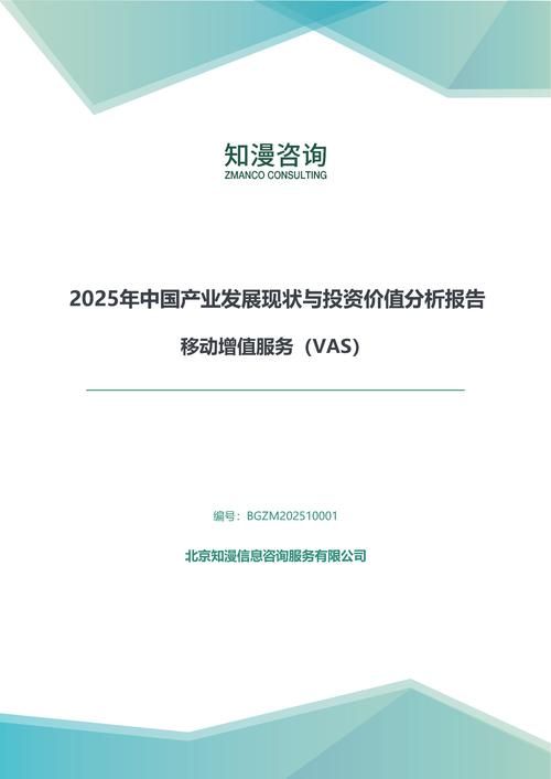 2025年中国移动增值服务（VAS）产业发展现状与投资价值分析报告