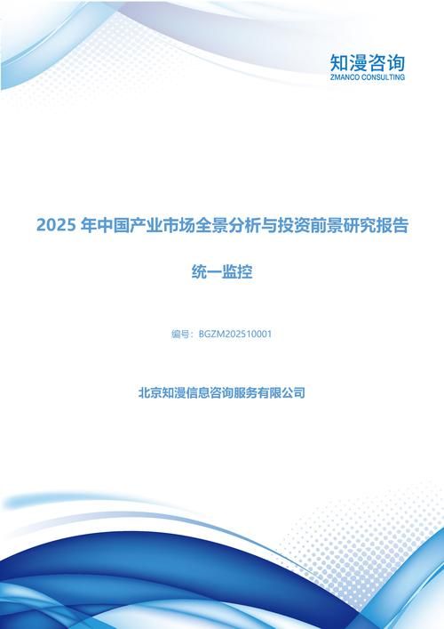 2025年中国统一监控产业市场全景分析与投资前景研究报告