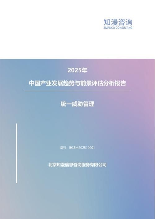 2025年中国统一威胁管理产业发展趋势与前景评估分析报告