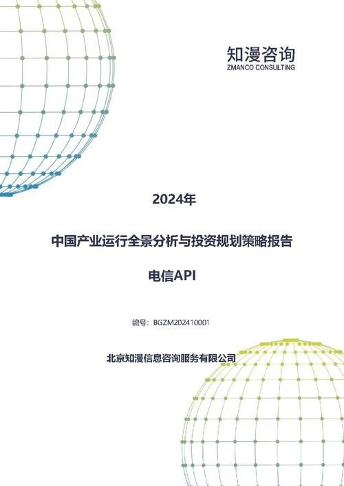 2024年中国电信API产业运行全景分析与投资规划策略报告