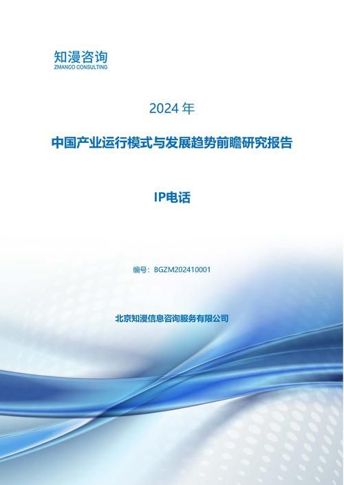 2024年中国IP电话产业运行模式与发展趋势前瞻研究报告