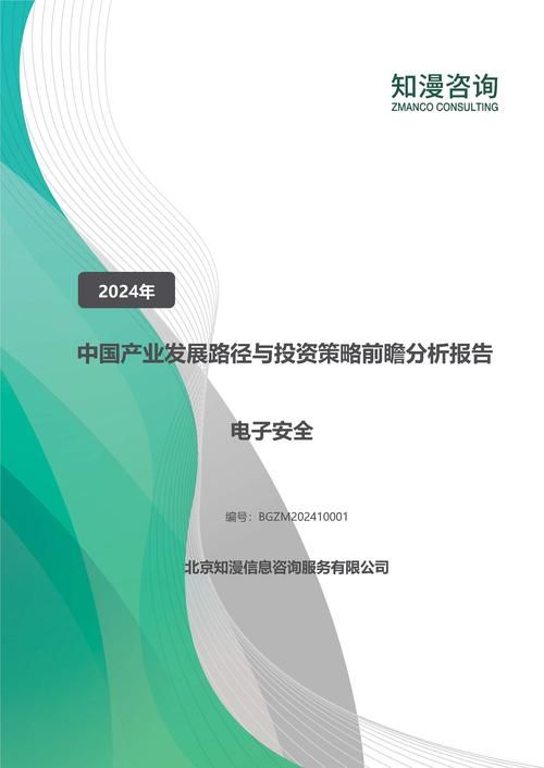2024年中国电子安全产业发展路径与投资策略前瞻分析报告