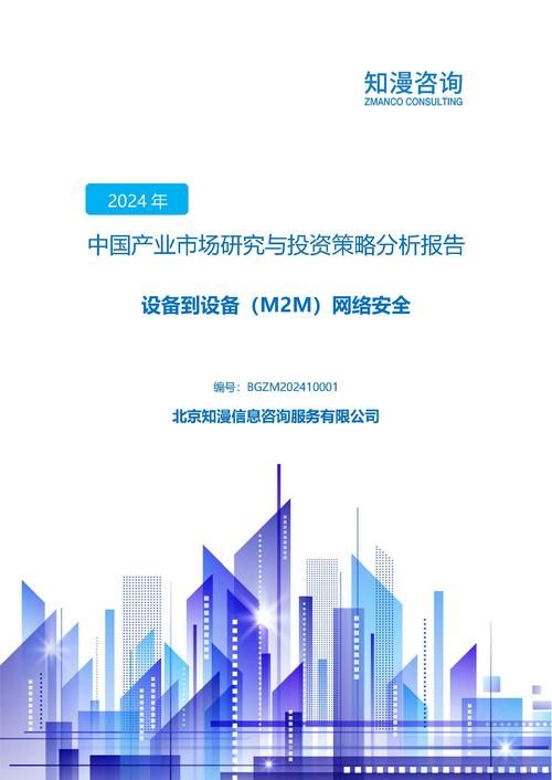 2024年中国设备到设备（M2M）网络安全产业市场研究与投资策略分析报告