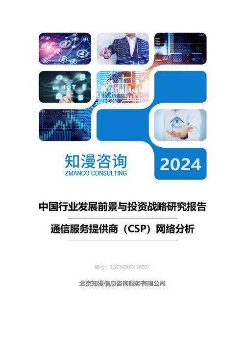 2024年中国通信服务提供商（CSP）网络分析行业发展前景与投资战略研究报告