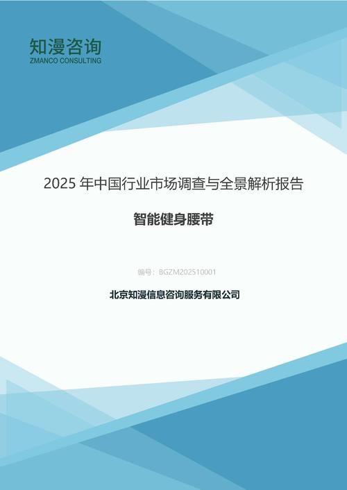 2025年中国智能健身腰带行业市场调查与全景解析报告