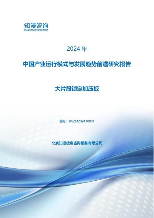2024年中国大片段锁定加压板产业运行模式与发展趋势前瞻研究报告