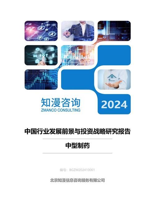 2024年中国中型制药行业发展前景与投资战略研究报告