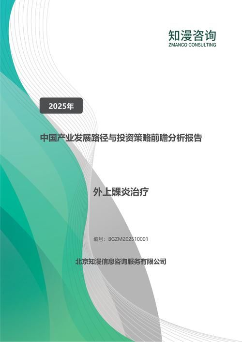 2025年中国外上髁炎治疗产业发展路径与投资策略前瞻分析报告