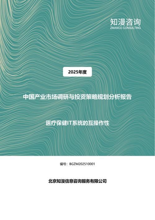 2025年中国医疗保健IT系统的互操作性产业市场调研与投资策略规划分析报告