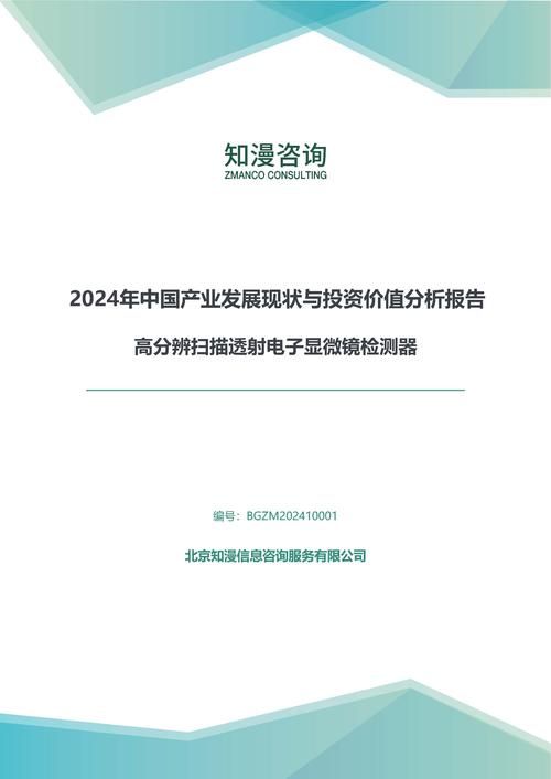 2024年中国高分辨扫描透射电子显微镜检测器产业发展现状与投资价值分析报告