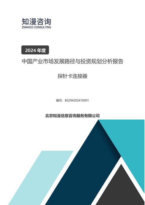 2024年中国探针卡连接器产业市场发展路径与投资规划分析报告