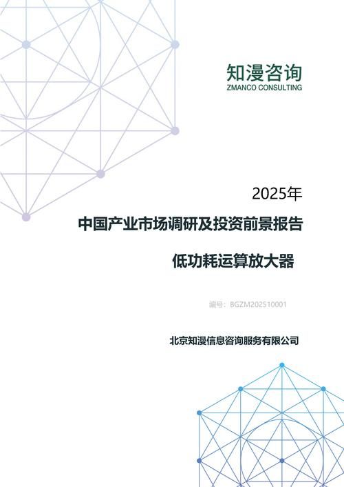 2025年中国低功耗运算放大器产业市场调研及投资前景报告