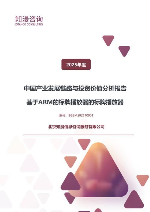 2025年中国基于ARM的标牌播放器的标牌播放器产业发展链路与投资价值分析报告