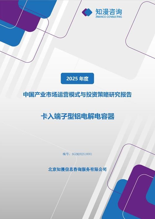 2025年中国卡入端子型铝电解电容器产业市场运营模式与投资策略研究报告