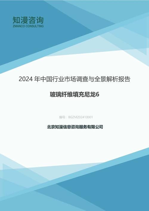 2024年中国玻璃纤维填充尼龙6行业市场调查与全景解析报告