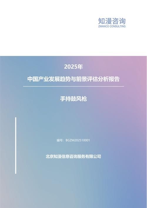 2025年中国手持鼓风枪产业发展趋势与前景评估分析报告