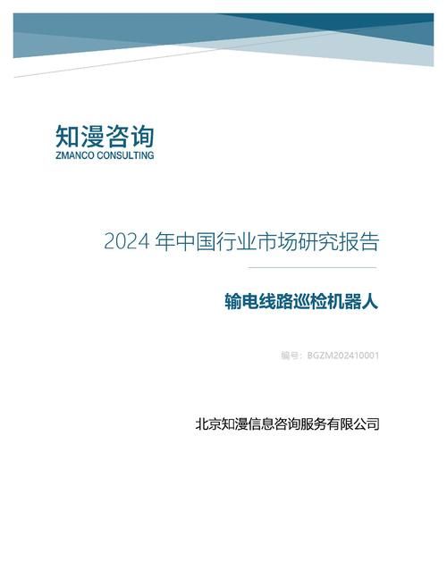 2024年中国输电线路巡检机器人行业市场研究报告