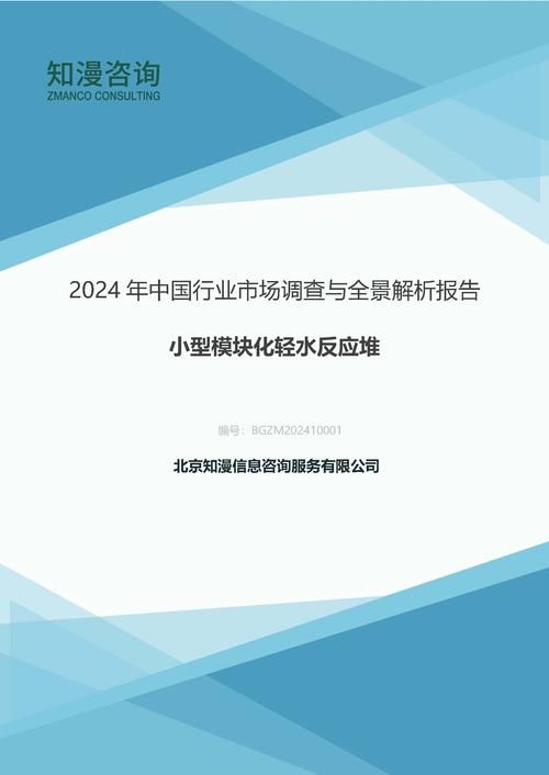 2024年中国小型模块化轻水反应堆行业市场调查与全景解析报告