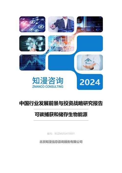2024年中国可碳捕获和储存生物能源行业发展前景与投资战略研究报告